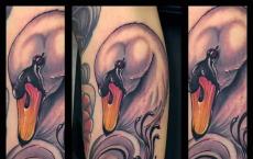 Значение татуировки лебедь Выбираем эскиз татуировки с лебедем